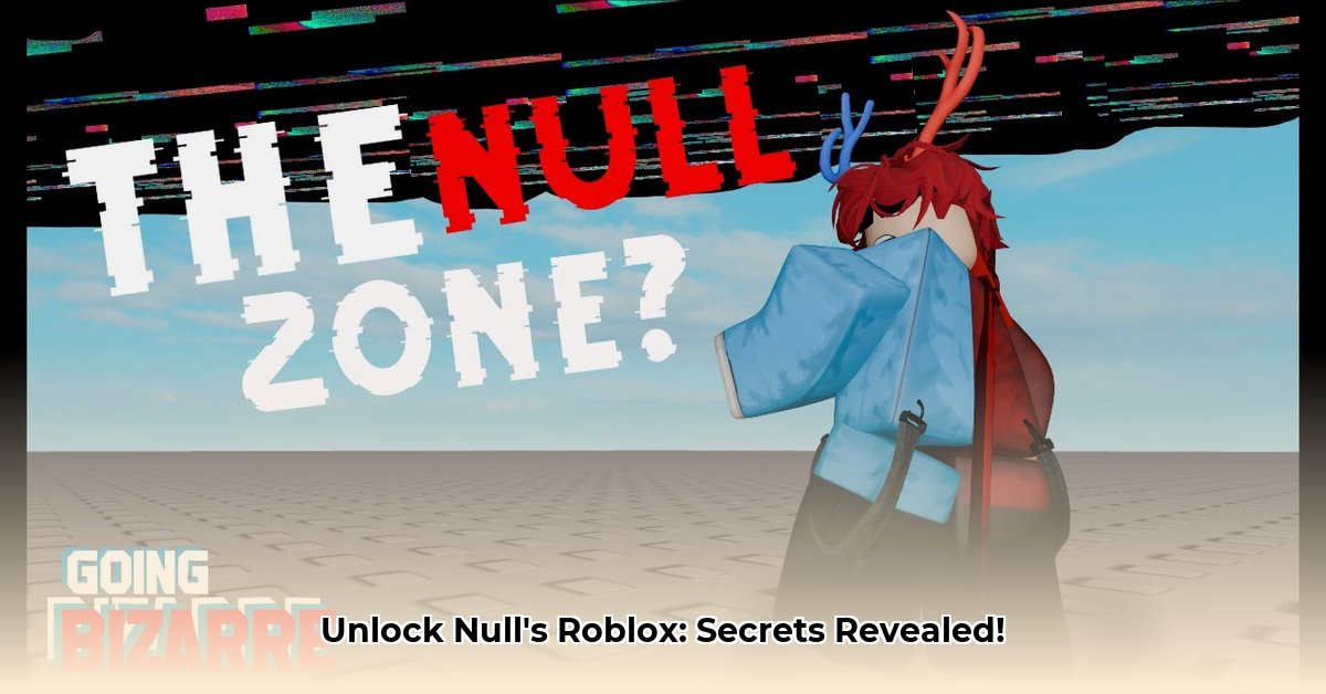null-s-roblox